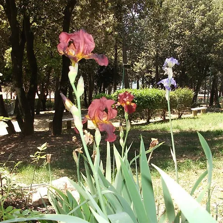 Bed & Breakfast La Principessa Corciano