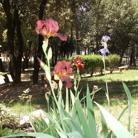 Bed & Breakfast La Principessa Corciano