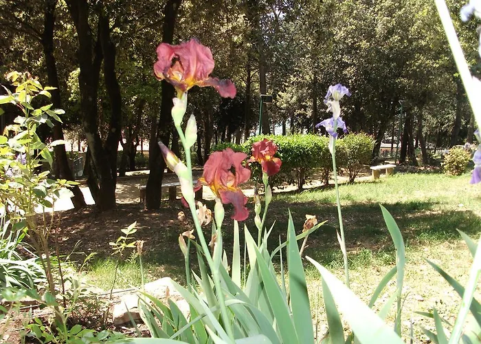 Bed & Breakfast La Principessa Corciano