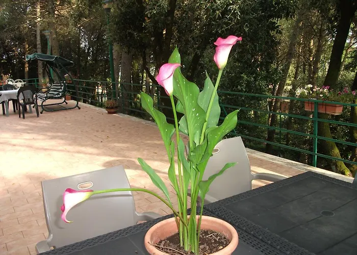 La Principessa Bed & Breakfast Corciano